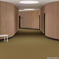 6-RF5520002.webp thumb image