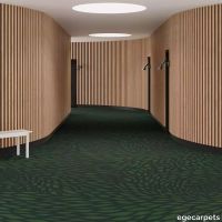 6-RF5520107.webp thumb image