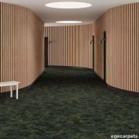 6-RF5520313.webp thumb image