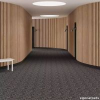 6-RF5520401.webp thumb image