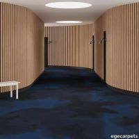 6-RF5520501.webp thumb image