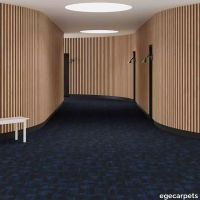 6-RF5520505.webp thumb image