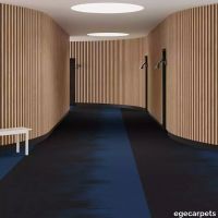 6-RF5520507.webp thumb image
