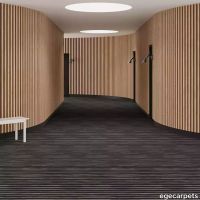 6-RF5520510.webp thumb image
