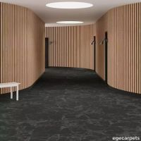 6-RFM55202019.webp thumb image
