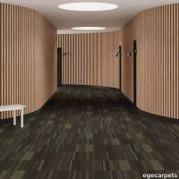 6-RFM55952030.webp thumb image