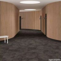 6-RFM55952059.webp thumb image