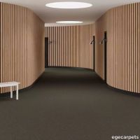 6-RFM55952079.webp thumb image