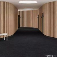 6-RFM55952070.webp thumb image