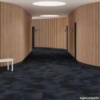 6-RFM55952084.webp thumb image