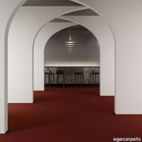 8-069145048.webp thumb image