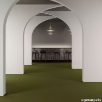 8-0780325.webp thumb image