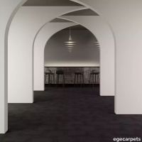 8-079702548.webp thumb image