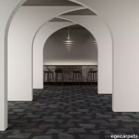8-079703448.webp thumb image