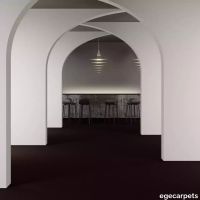 8-083749548.webp thumb image