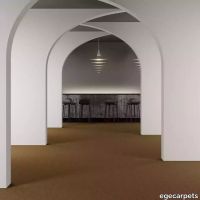 8-083763048.webp thumb image