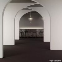 8-083728048.webp thumb image