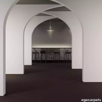8-0913150.webp thumb image