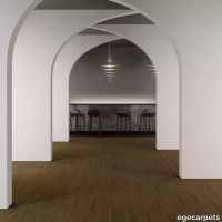 8-713201148.webp thumb image
