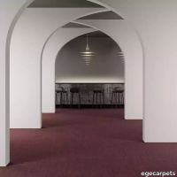8-7133240.webp thumb image