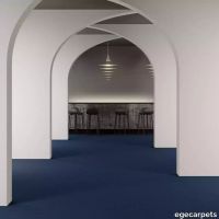 8-7133270.webp thumb image