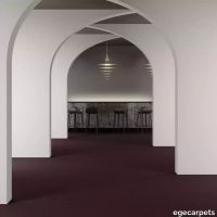 8-RF5575223.webp thumb image