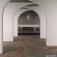 8-RF5575501.webp thumb image