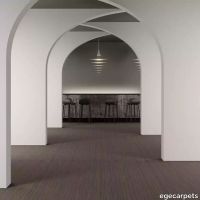 8-RF5575505.webp thumb image