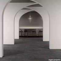8-RF5575513.webp thumb image