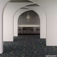 8-RF5595409.webp thumb image