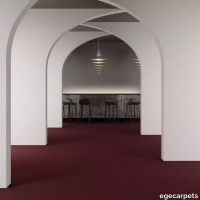 8-RF5500270.webp thumb image