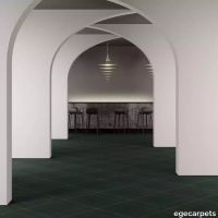 8-RF5500296.webp thumb image