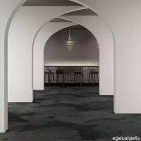 8-RF5500565.webp thumb image