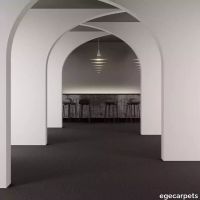 8-RF5500583.webp thumb image