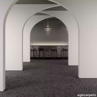 8-RF5500589.webp thumb image