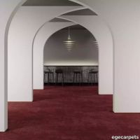 8-RF5500514.webp thumb image