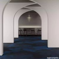 8-RF5520501.webp thumb image