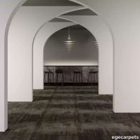 8-RFM55952046.webp thumb image