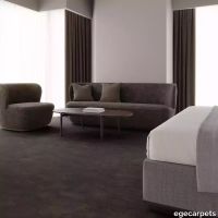 12-7135110.webp thumb image