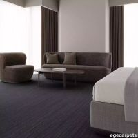 12-713204148.webp thumb image