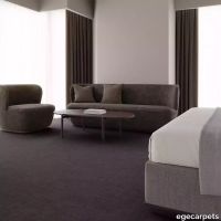 12-713313048.webp thumb image