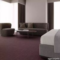 12-7133240.webp thumb image