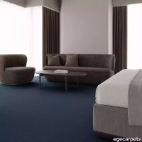 12-7133270.webp thumb image