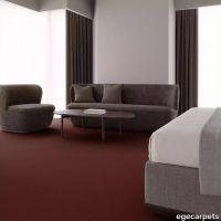 12-069145048.webp thumb image