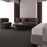 12-069237548.webp thumb image