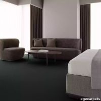 12-0780385.webp thumb image