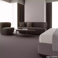 12-078222048.webp thumb image