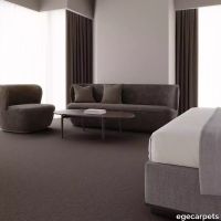 12-083726548.webp thumb image