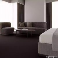 12-083749548.webp thumb image