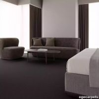 12-083777548.webp thumb image